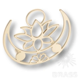 Brass Ручка скоба Лунный лотос KKP-1022-C25 матовое золото 64 мм