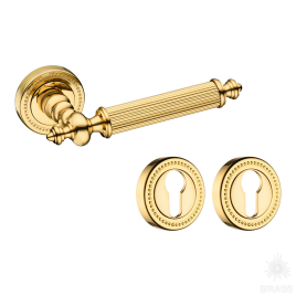 Brass Ручка дверная в комплекте с накладкой под цилиндрический замок 0212-003Y латунь, глянцевое золото