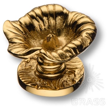 Brass Ручка кнопка 07203-003 латунь глянцевое золото фото 1