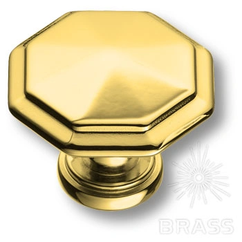 Brass Ручка кнопка 15.309.01.19 глянцевое золото фото 1