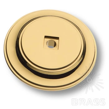 Brass Подложка для мебельных ручек 3043 0050 GL глянцевое золото фото 1