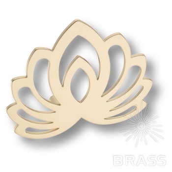 Brass Ручка скоба KKP-1017-C25 Лотос матовое золото 32 мм фото 1