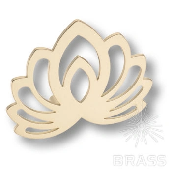 Brass Ручка скоба KKP-1017-C25 Лотос матовое золото 32 мм фото 1